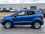 Used 2022 Ford EcoSport SE image 4