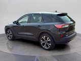 Used 2021 Ford Escape SE w/ SE Sport Appearance Package image 3