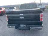 Used 2014 Ford F150 Lariat w/ Equipment Group 502A Luxury image 6