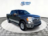Used 2014 Ford F150 XLT w/ Equipment Group 302A Luxury image 3