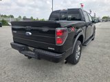 Used 2011 Ford F150 FX4 w/ FX Luxury Pkg image 3