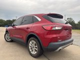 Used 2022 Ford Escape SE w/ Convenience Package image 4