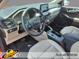 Used 2020 Ford Escape SEL image 4