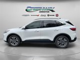 Used 2020 Ford Escape SEL image 4