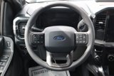 New 2025 Ford F150 STX image 4