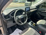 Used 2022 Ford Escape SE w/ Convenience Package image 3