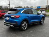 Used 2020 Ford Escape SEL image 3