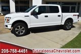 Used 2019 Ford F150 XL w/ Equipment Group 101A Mid image 5
