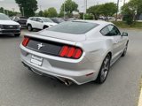 Used 2016 Ford Mustang Coupe w/ Equipment Group 051A image 5
