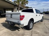 Used 2013 Ford F150 XLT w/ XLT Chrome Pkg image 6