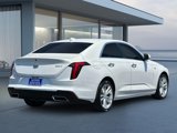 Used 2023 Cadillac CT4 Luxury image 4