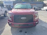 Used 2016 Ford F150 XLT w/ Equipment Group 302A Luxury image 2