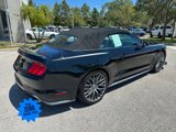 Certified 2019 Ford Mustang Premium w/ Equipment Group 201A image 3