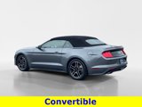Certified 2022 Ford Mustang Premium image 4