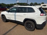 Used 2023 Jeep Cherokee Altitude Lux image 5