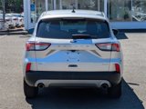 Used 2020 Ford Escape SE image 4