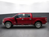 Used 2013 Ford F150 XLT w/ Luxury Equipment Group image 2