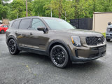 Used 2021 Kia Telluride EX w/ EX Premium Package image 4