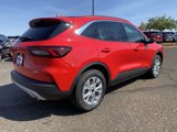 New 2024 Ford Escape Active w/ Tech Pack #2 image 5