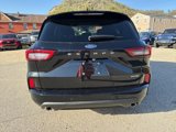 New 2025 Ford Escape ST-Line Elite w/ Premium Technology Package image 4