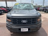 New 2025 Ford F150 XL image 3