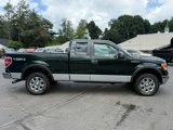 Used 2013 Ford F150 XLT w/ XLT Chrome Pkg image 6