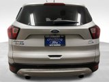 Used 2019 Ford Escape SEL image 4