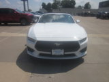 Used 2024 Ford Mustang Premium image 2
