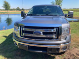 Used 2013 Ford F150 XLT image 2