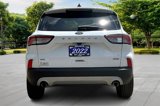 Certified 2022 Ford Escape SE image 4