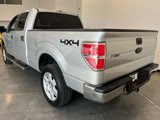 Used 2010 Ford F150 XL image 3