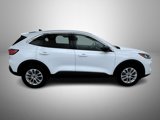 Used 2022 Ford Escape SE w/ Cold Weather Package image 4