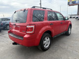Used 2009 Ford Escape XLT image 5