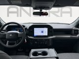 New 2025 Ford F150 XL image 2