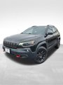 Used 2019 Jeep Cherokee Trailhawk image 2