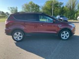 Used 2014 Ford Escape SE w/ Equipment Group 201A image 6