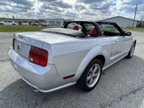 Used 2006 Ford Mustang GT image 6