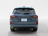 Used 2024 Ford Escape ST-Line image 4