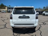 Used 2024 Toyota 4Runner TRD Off-Road Premium image 4