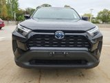 Used 2024 Toyota RAV4 XLE image 2