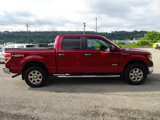 Used 2014 Ford F150 XLT w/ Equipment Group 302A Luxury image 5