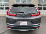 Used 2019 Honda CR-V EX-L image 6
