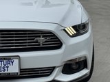 Used 2016 Ford Mustang Premium w/ Pony Package image 4