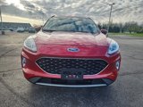 Used 2020 Ford Escape SEL image 4