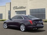 New 2025 Cadillac CT4 Premium Luxury image 3