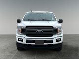 Used 2019 Ford F150 XLT w/ Equipment Group 302A Luxury image 2