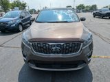 Used 2019 Kia Sorento SX image 2