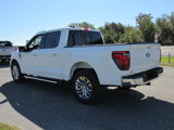 New 2024 Ford F150 XLT w/ Equipment Group 303A High image 5
