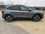 New 2025 Ford Escape ST-Line Elite w/ Tech Pack #2 image 6