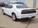 Used 2023 Dodge Challenger SXT image 3